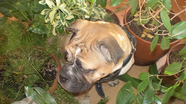 �� �� �� (���������� ������). ���������� �����