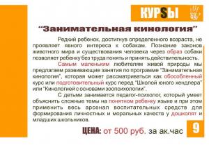 Клуб любителей собак в Ставрополе фото питомника Клуб любителей собак в Ставрополе