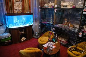 Гостиница для домашних животных в Москвe фото питомника Гостиница для домашних животных в Москвe