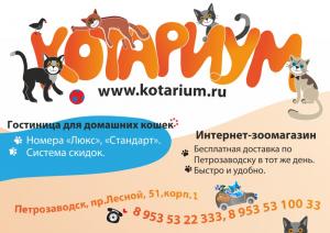 Зоомагазин в Петрозаводске фото питомника Зоомагазин в Петрозаводске